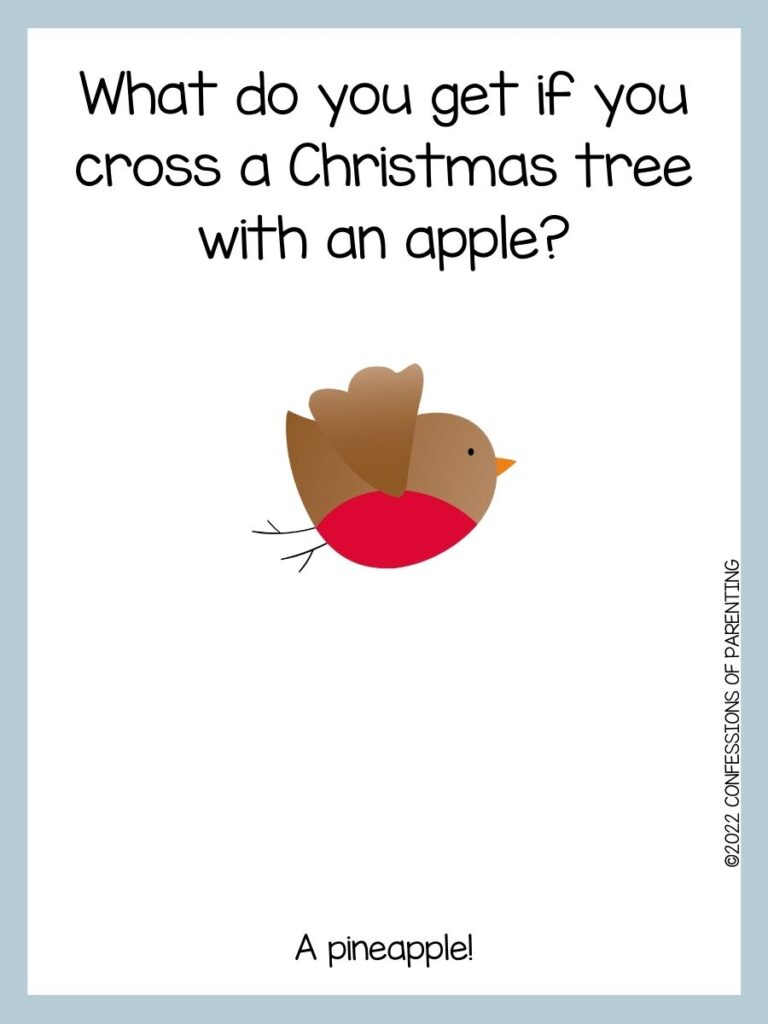 White background with blue border; black lettering with Christmas joke. Brown bird with red belly