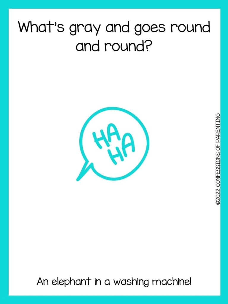 white background with turquoise border and turquoise speaking bubble that says "ha, ha."