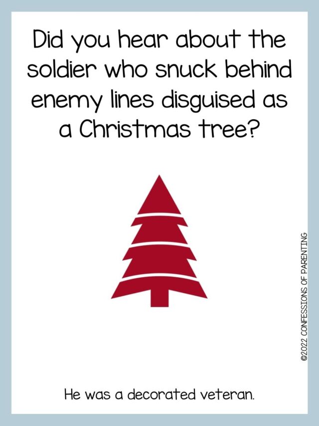 90 Best Christmas Tree Jokes That Are TreeMendous