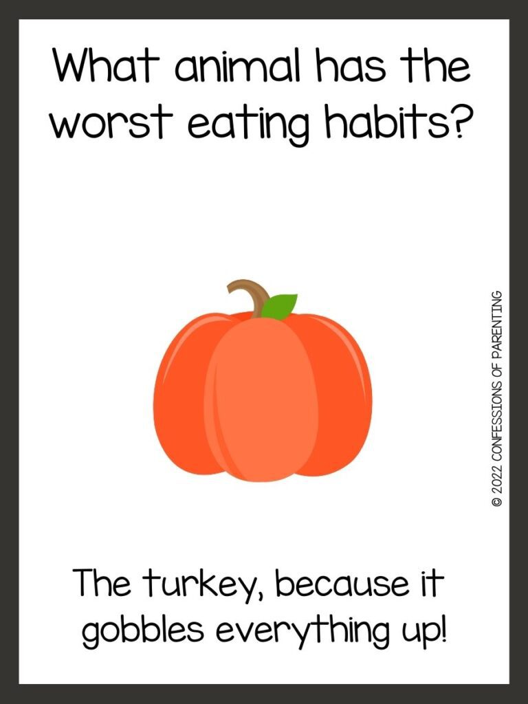 White background with brown border; black writing with Thanksgiving riddles. Orange pumpkin