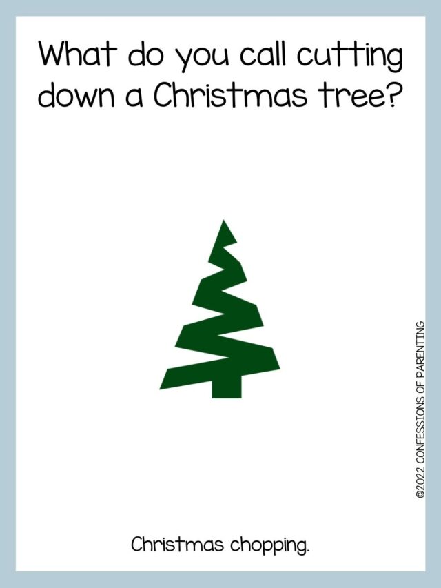 90 Best Christmas Tree Jokes That Are TreeMendous