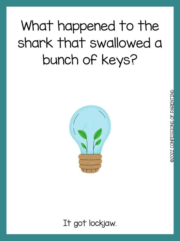 white background with blue border, picture of a light bulb with two green plants inside; earth day joke for kids