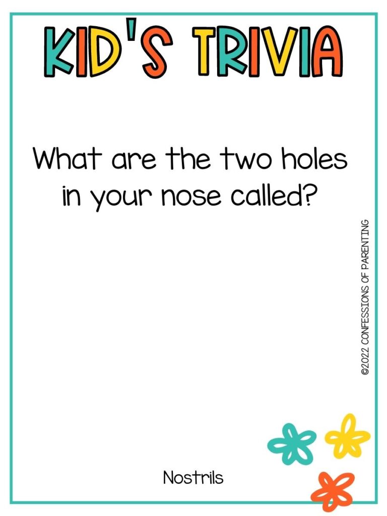 White background with turquoise border; colorful letters that say kid's trivia. Three flower, turquoise, yellow, and orange