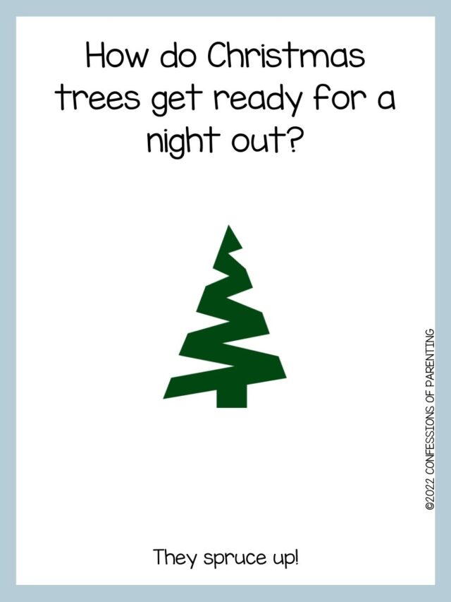 90 Best Christmas Tree Jokes That Are TreeMendous