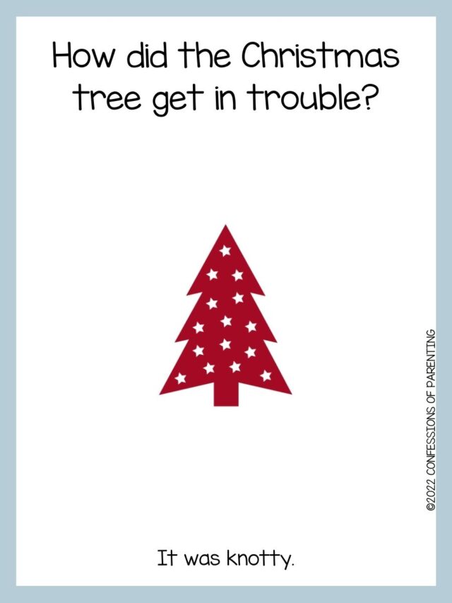 90 Best Christmas Tree Jokes That Are TreeMendous