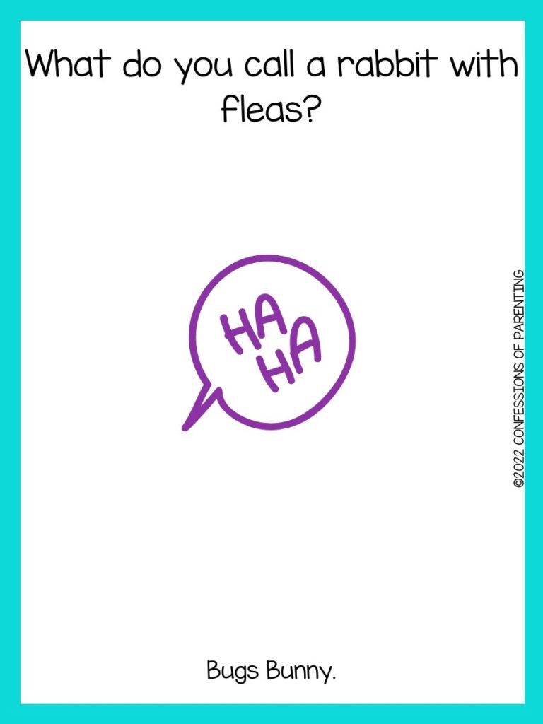 white background with purple border and speaking bubble that says "ha, ha."