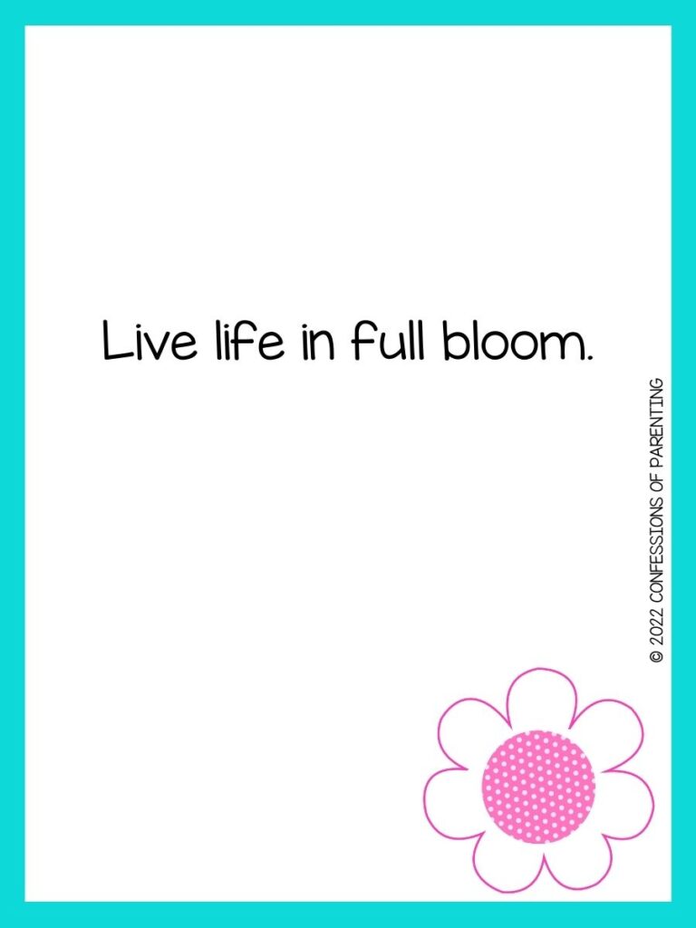 White background with turquoise border, black lettering spelling out spring sayings. Pink flower at bottom