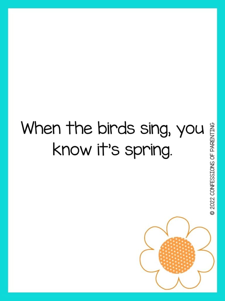 White background with turquoise border, black lettering spelling out spring sayings. Orange flower at bottom