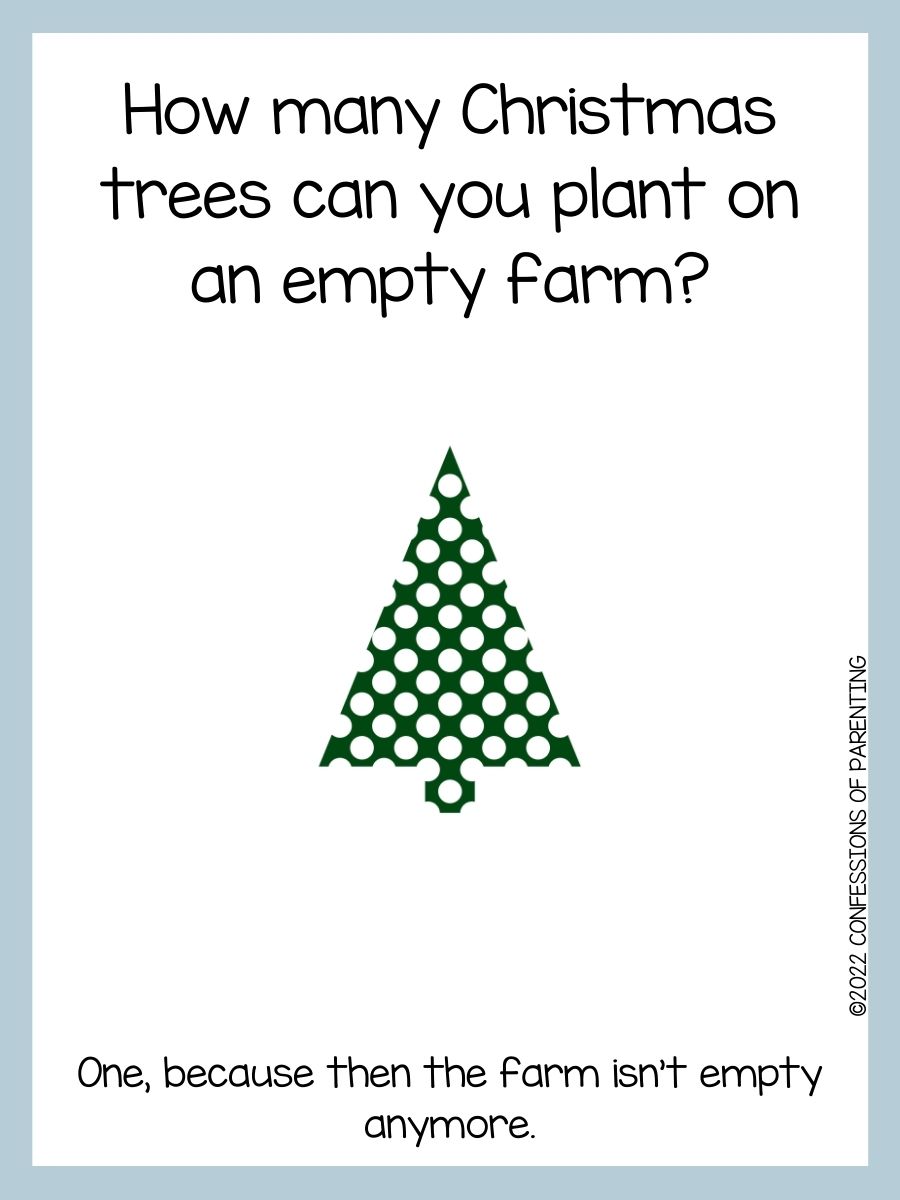 90 Best Christmas Tree Jokes That Are TreeMendous