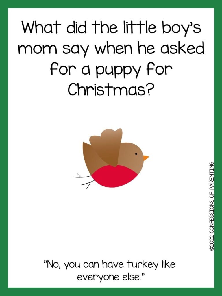 White background with green border, black lettering telling Christmas riddle. Brown bird with red belly