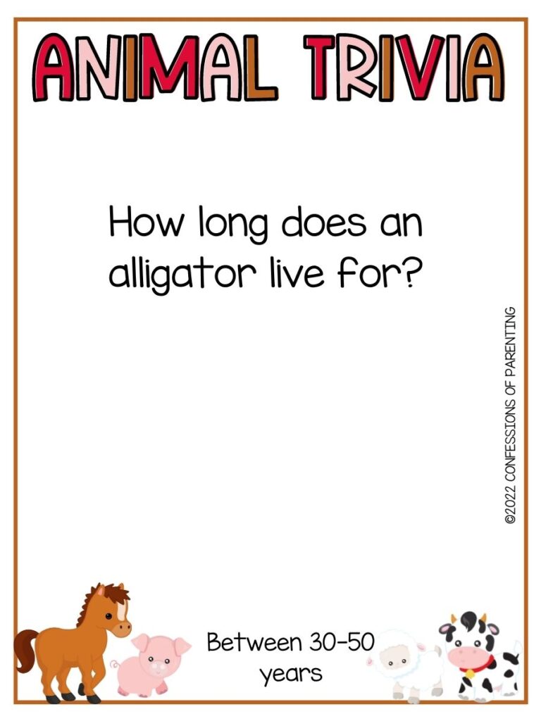 Colorful Animal Trivia title with trivia question and various farm animals on white background with thin brown border 