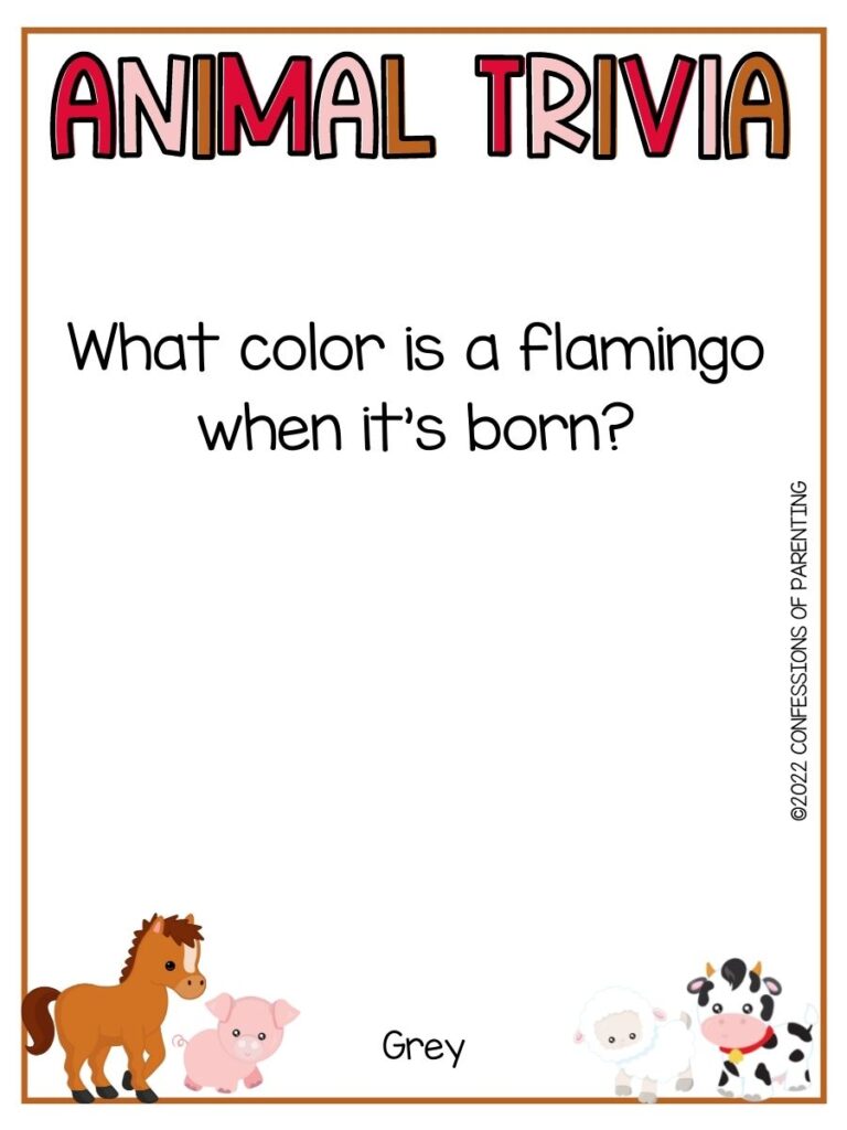 Colorful Animal Trivia title with trivia question and various farm animals on white background with thin brown border