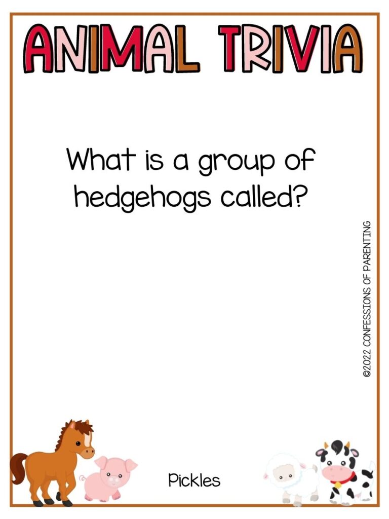 Colorful Animal Trivia title with trivia question and various farm animals on white background with thin brown border