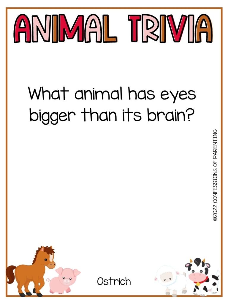 Colorful Animal Trivia title with trivia question and various farm animals on white background with thin brown border