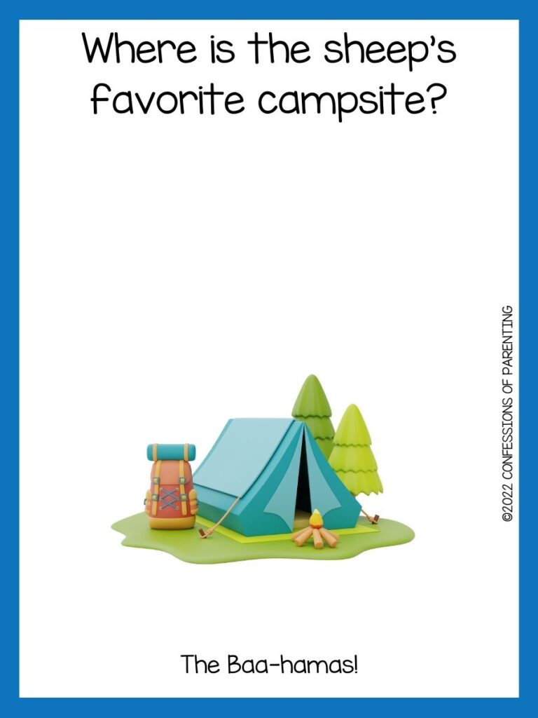 The Best Camp Jokes That Are S'Moretastic!
