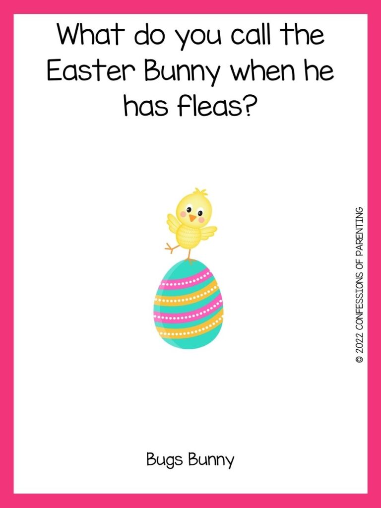 a little chick standing on a multi-colored egg with an easter joke on a white background with a pink border 