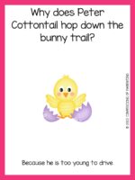 50+ Hilarious Easter jokes + Printable Cards
