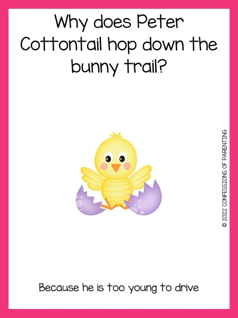 a little yellow chick hatched out of a purple egg with an easter joke on a white background with a pink border 