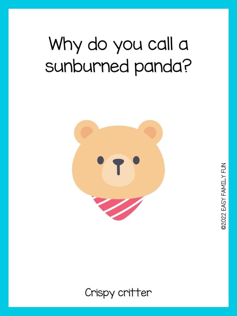 Brown bear head with red striped handkerchief with blue border and bear joke