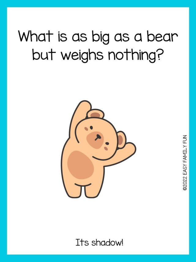 100 of the Best Bear Jokes for Kids [Good Clean Fun]