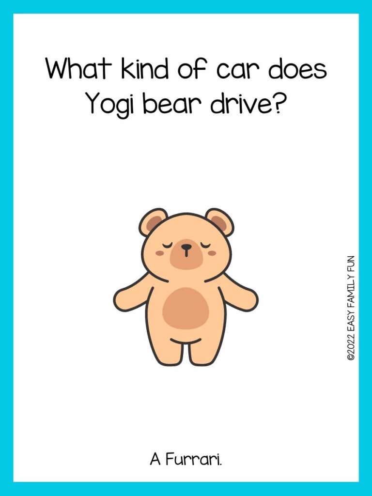 Full size bear with arms stretched out with blue border and bear joke 
