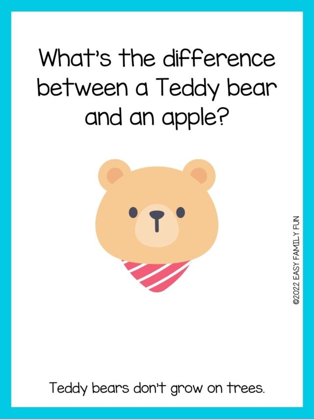 100 of the Best Bear Jokes for Kids [Good Clean Fun]