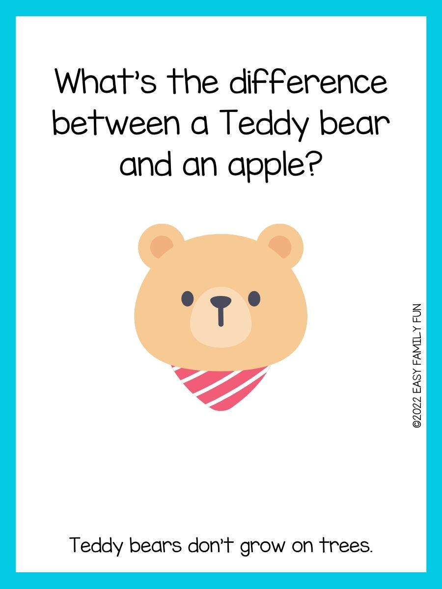 100 of the Best Bear Jokes for Kids [Good Clean Fun]