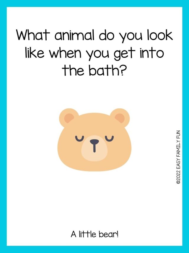 100 of the Best Bear Jokes for Kids [Good Clean Fun]