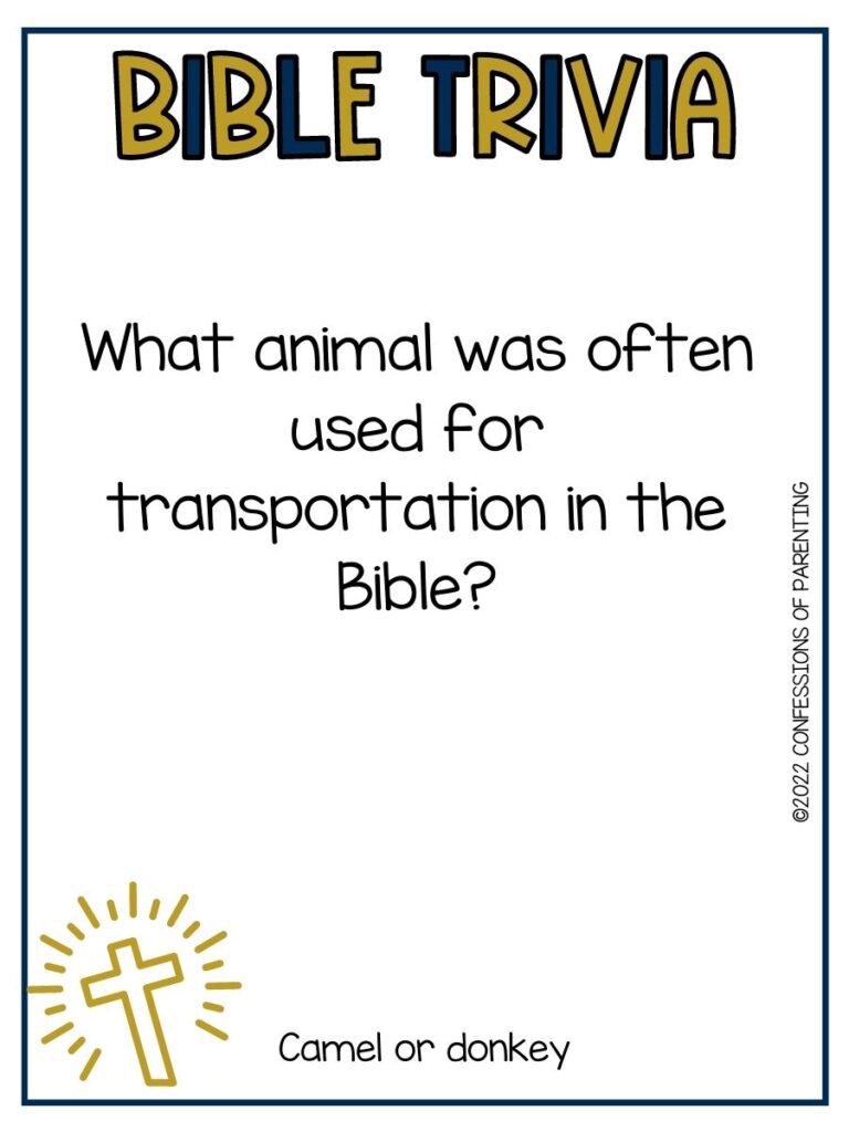 "Bible Trivia" title in black and gold letters with bible trivia question and small cross on white background with thin black border