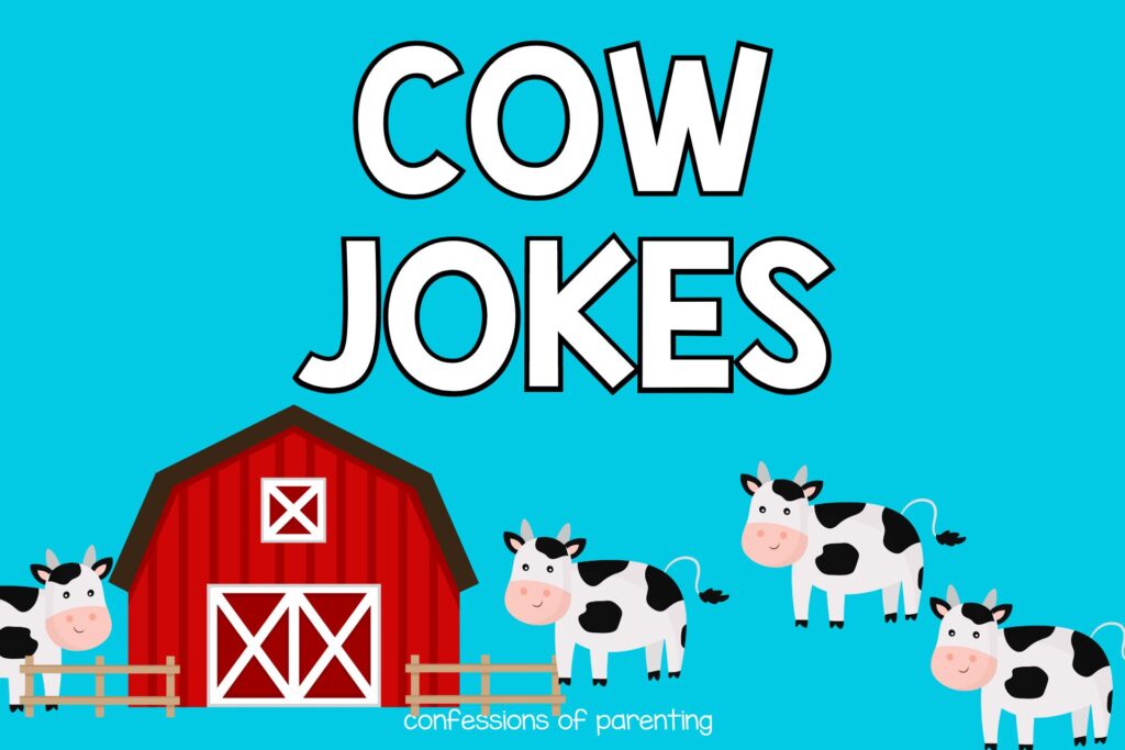 4 black and white spotted cows headed toward red barn on blue background with white text that says cow jokes