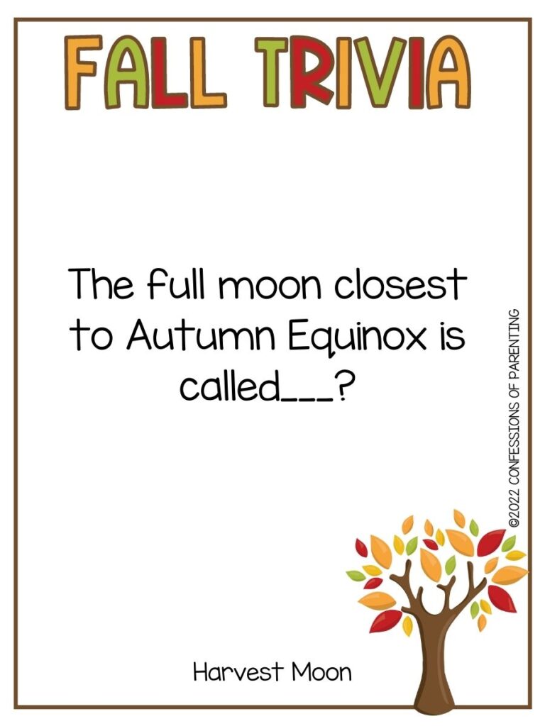 fall tree in the bottom corner with the title of Fall Trivia and a fall trivia question on a white background with small brown border