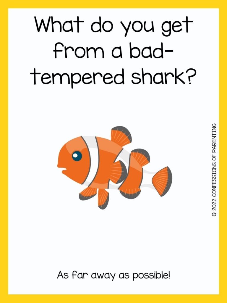 orange and white clown fish on a white background with fish joke and a yellow border