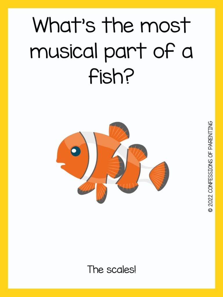 orange and white clown fish on a white background with fish joke and a yellow border