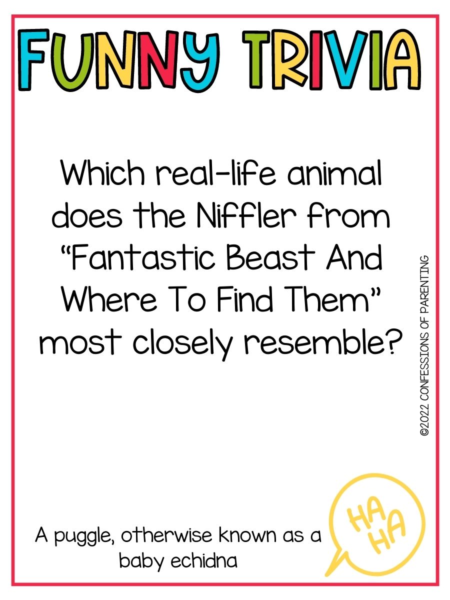 Best Funny Trivia Questions for Kids