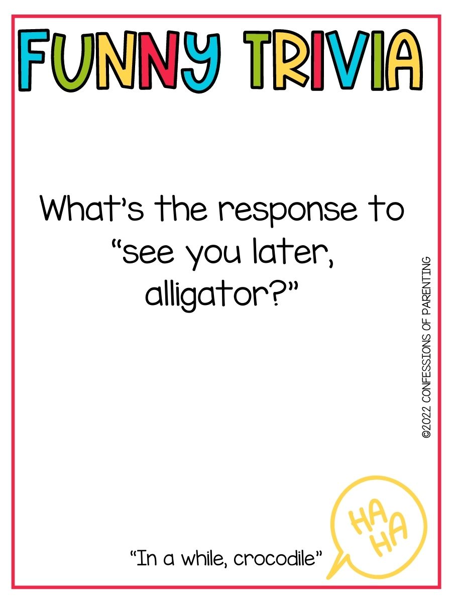 Humor Trivia Questions Best Funny Trivia Questions for Kids