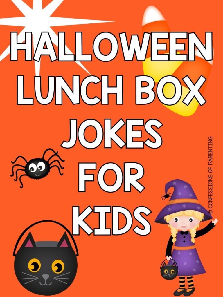 cat bucket, spider, candy corn, and a witch on orange background with white text that says Halloween lunch box jokes for kids