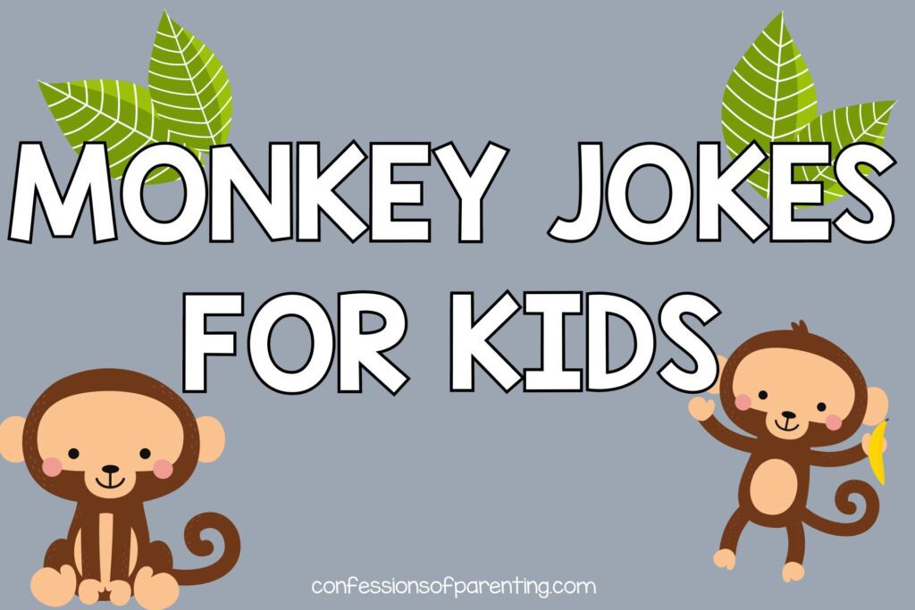 2 brown monkeys with 4 green leaves with gray background with white text that says "monkey jokes for kids"