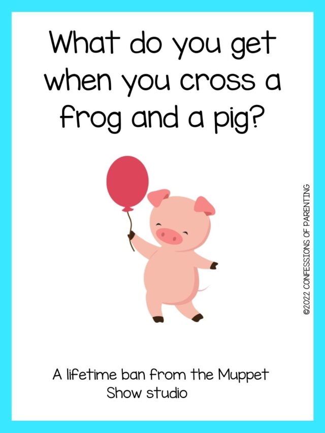 100 of the Best Pig Jokes to Make You Snort!