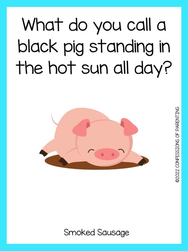 100 of the Best Pig Jokes to Make You Snort!
