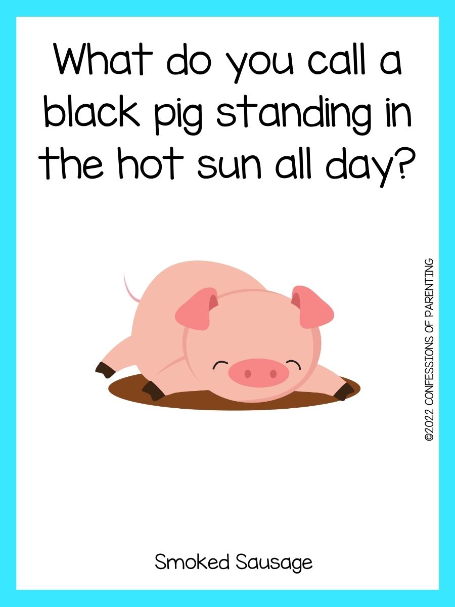 100 of the Best Pig Jokes to Make You Snort!