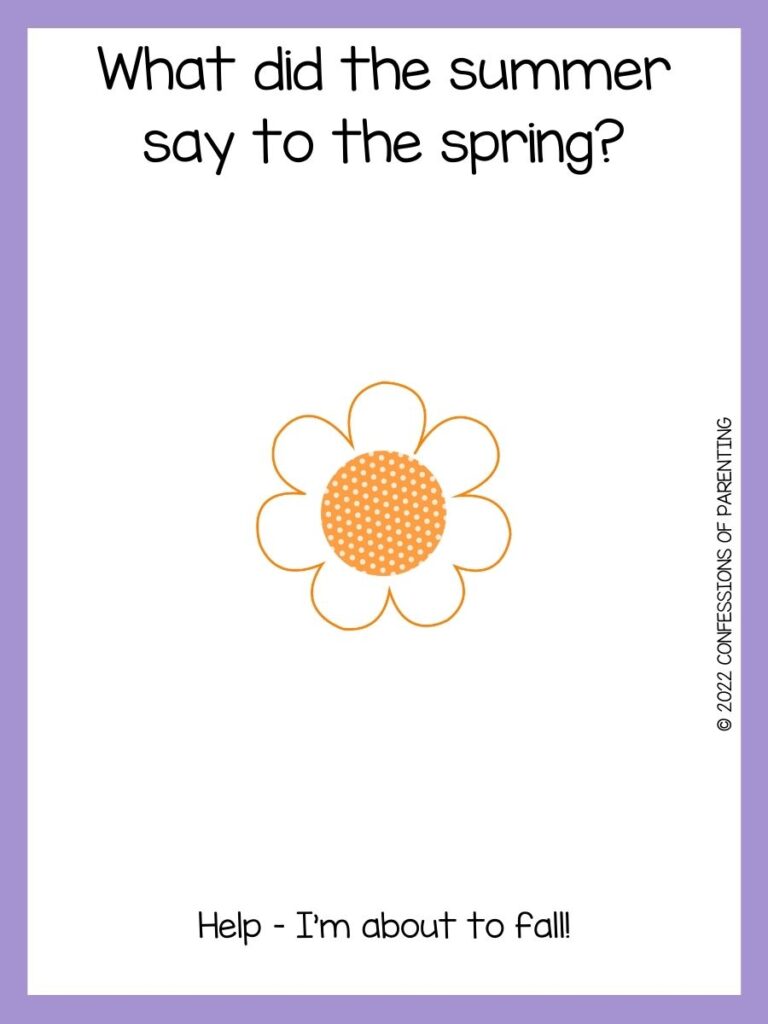 yellow flower with a spring joke on a white background with a purple border 