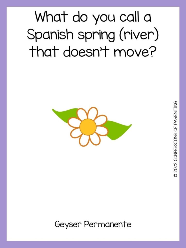 yellow flower with a spring joke on a white background with a purple border 