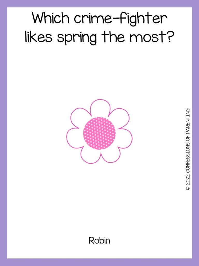 pink flower with a spring joke on a white background with a purple border 