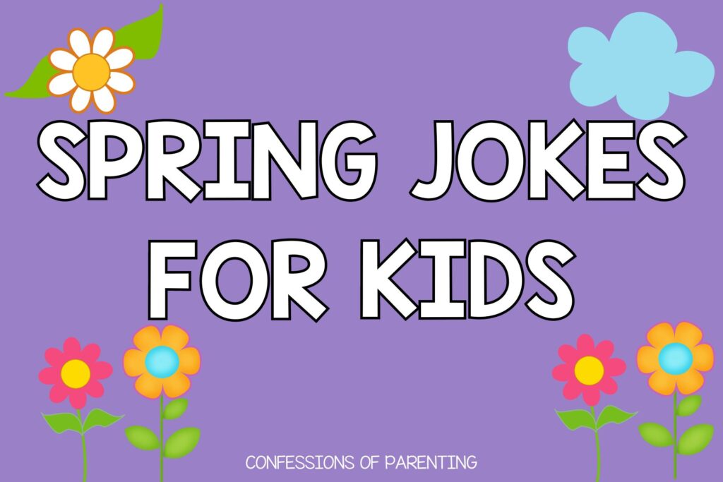 2 pink and 2 orange flowers one white flower and blue cloud on purple background with white text that says spring jokes for kids