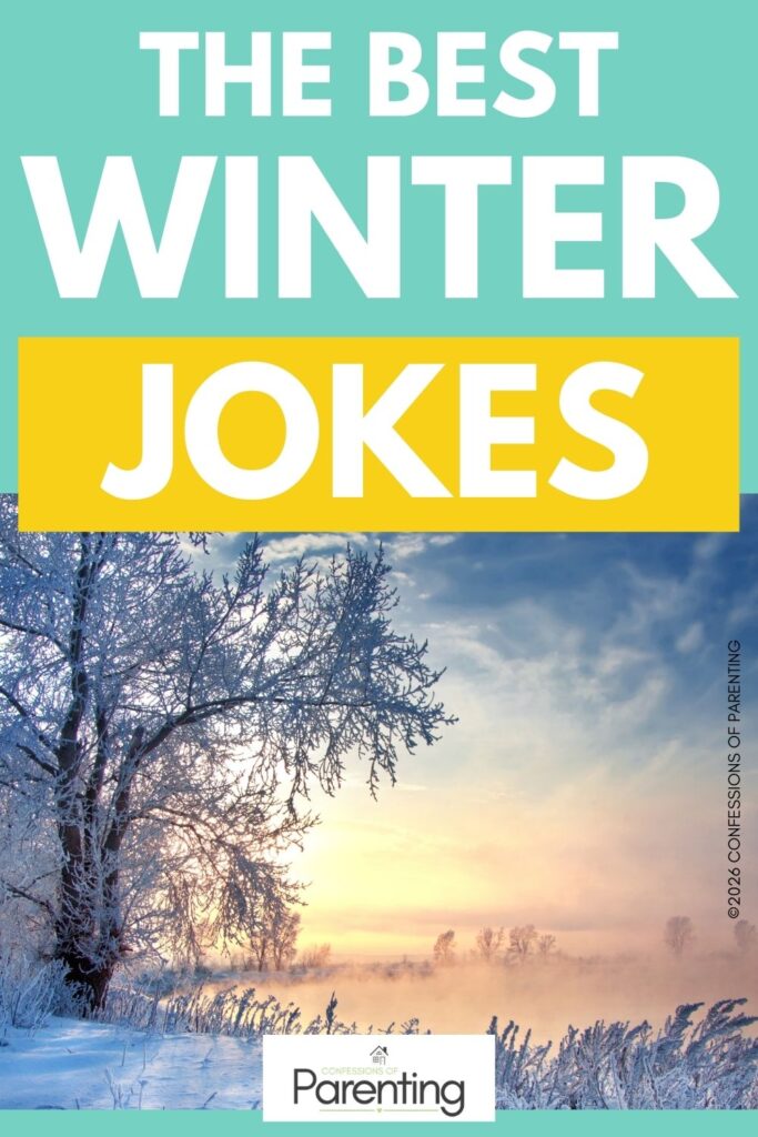 The Best Winter Jokes graphic with teal and yellow text over a snowy landscape at sunrise, featuring frosted tree