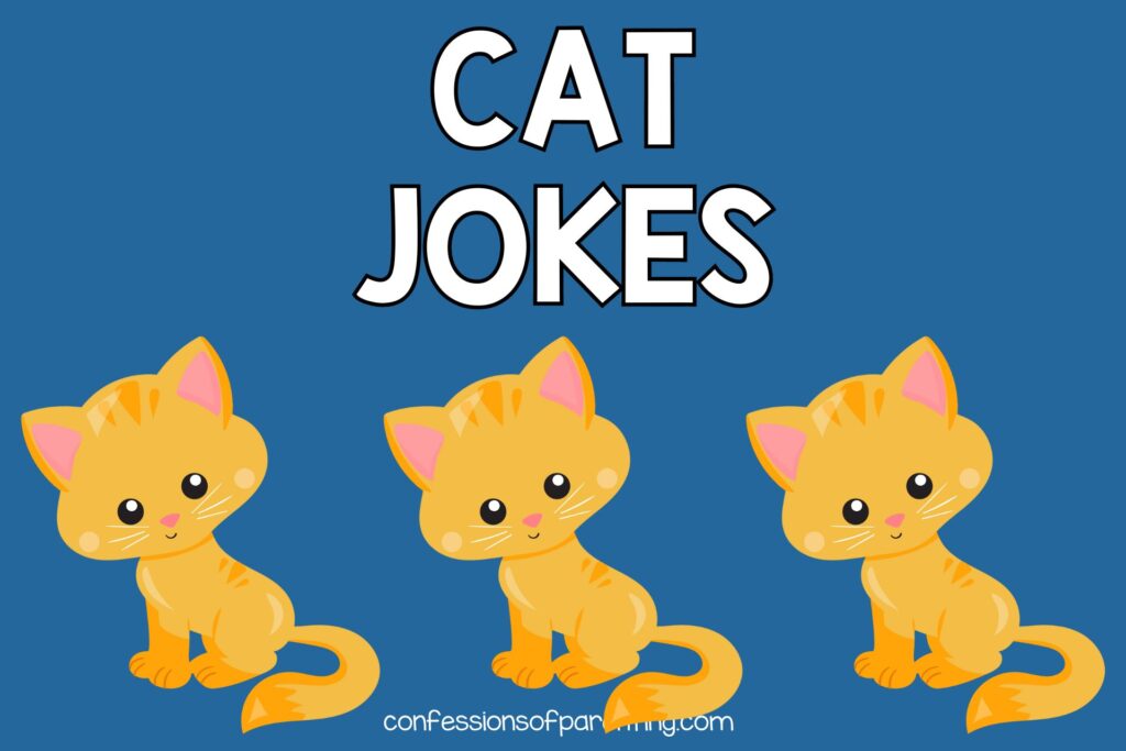3 yellow cats on blue background with white text "cat jokes"