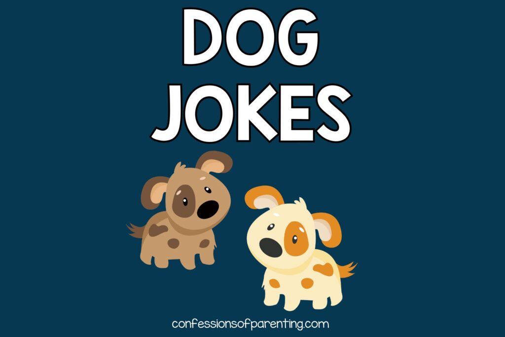 brown and yellow puppies on blue background with blue border with white text "dog jokes"