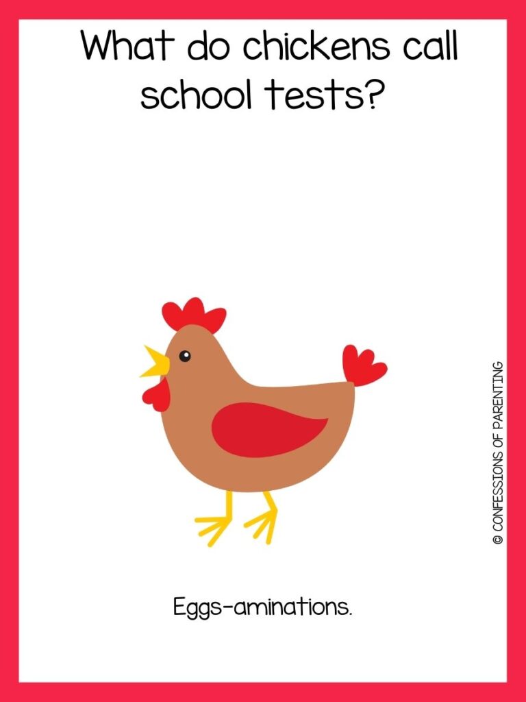 School joke on white background with red border and brown and red chicken
