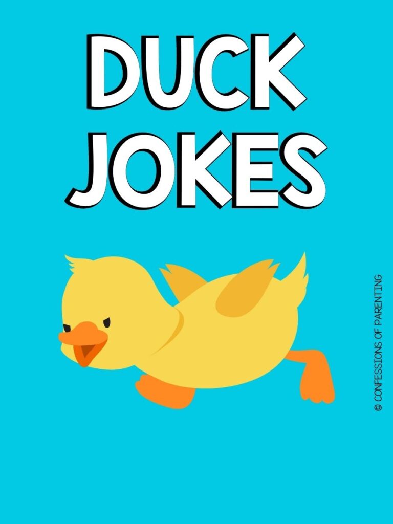Yellow duckling on blue background with white letters that say "Duck Jokes"