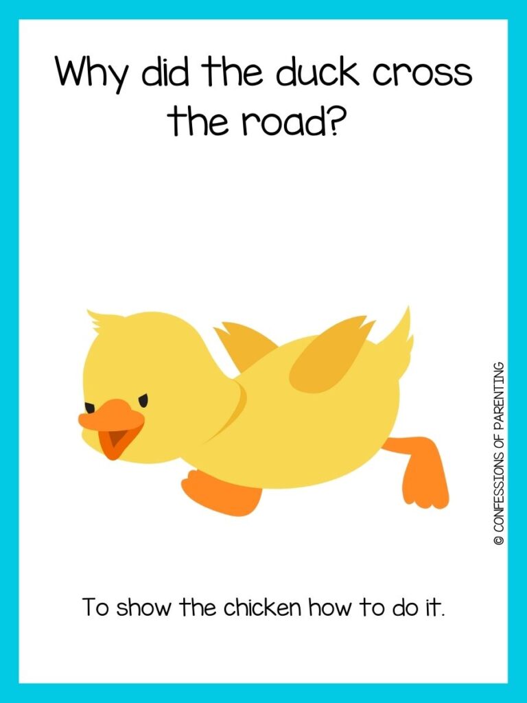 Animal joke on white background with blue border and yellow duck